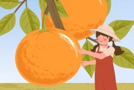 Farmer cartoon characters with orange citrus fruits harvest in farm poster illustrations